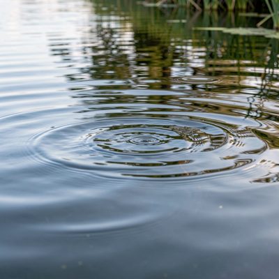 ripples on a still pool of water