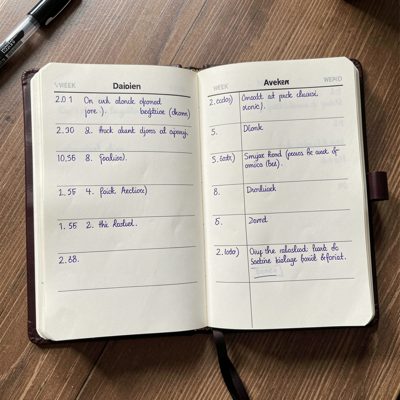 an open diary with appointments written in for the week