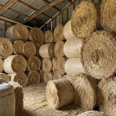 a barn full of stacked hay bales