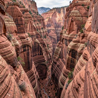 a canyon with layered red rock walls