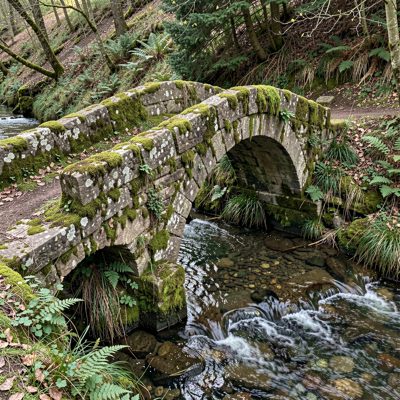 a mossy stone bridge over a small stream