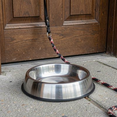a dog bowl and lead by a front door