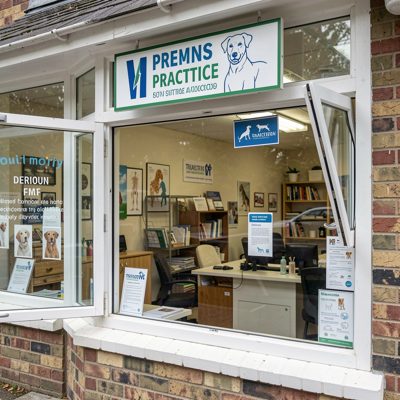 a vet practice window with an open sign